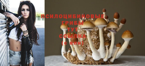 apvp Переславль-Залесский