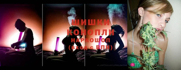 гидра Пересвет