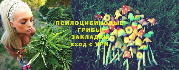 дурь Пестово