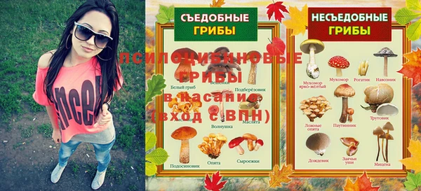 apvp Переславль-Залесский