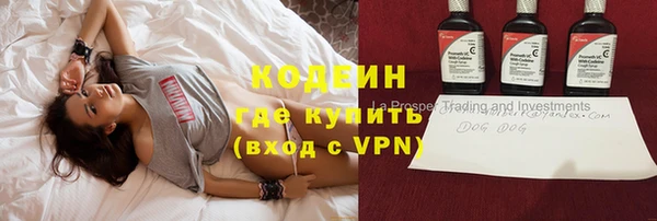 дурь Пестово