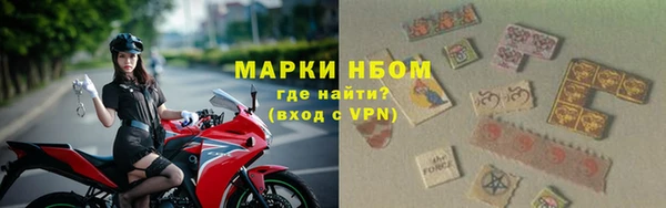 дурь Пестово