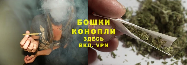 дурь Пестово