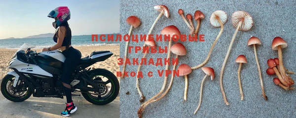 apvp Переславль-Залесский