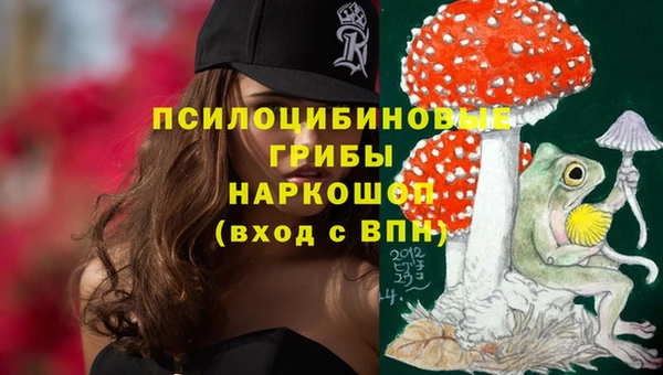 гидра Пересвет